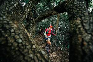 BIB: 
                            <button type="button" onclick="openModal(25392311)" class="btn btn-primary btn-sm float-right btn-popup" data-toggle="modal" data-target=".modal-high-quality">
                        <i class="fas fa-shopping-cart"></i> Add to Cart
                    </button>
                                            <button type="button" onclick="isThisMe(25392311, true)" class="btn btn-success btn-sm float-right btn-popup btn-isme hidden" data-toggle="tooltip" data-placement="bottom" title="นี่คือรูปของคุณใช่ไหม คลิกที่นี่เพื่อเอาเข้าอัลบั้ม">
                        <i class="fas fa-plus"></i> Add to album
                    </button>
                    <button type="button" onclick="isThisMe(25392311, false)" class="btn btn-warning btn-sm float-right btn-popup btn-isnotme hidden">
                        <i class="fas fa-ban"></i> Remove from album
                    </button>